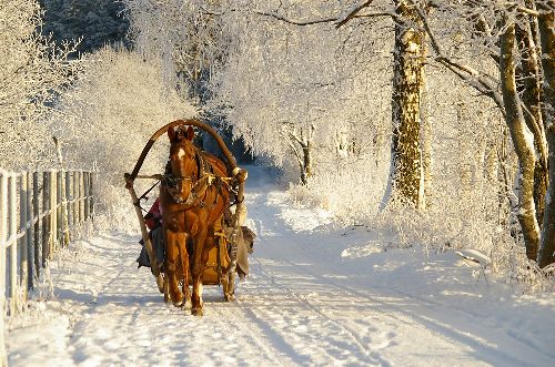 Zirgzandales horseback riding